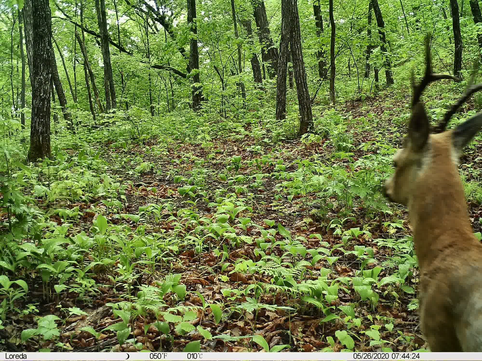Phenotrap image 10