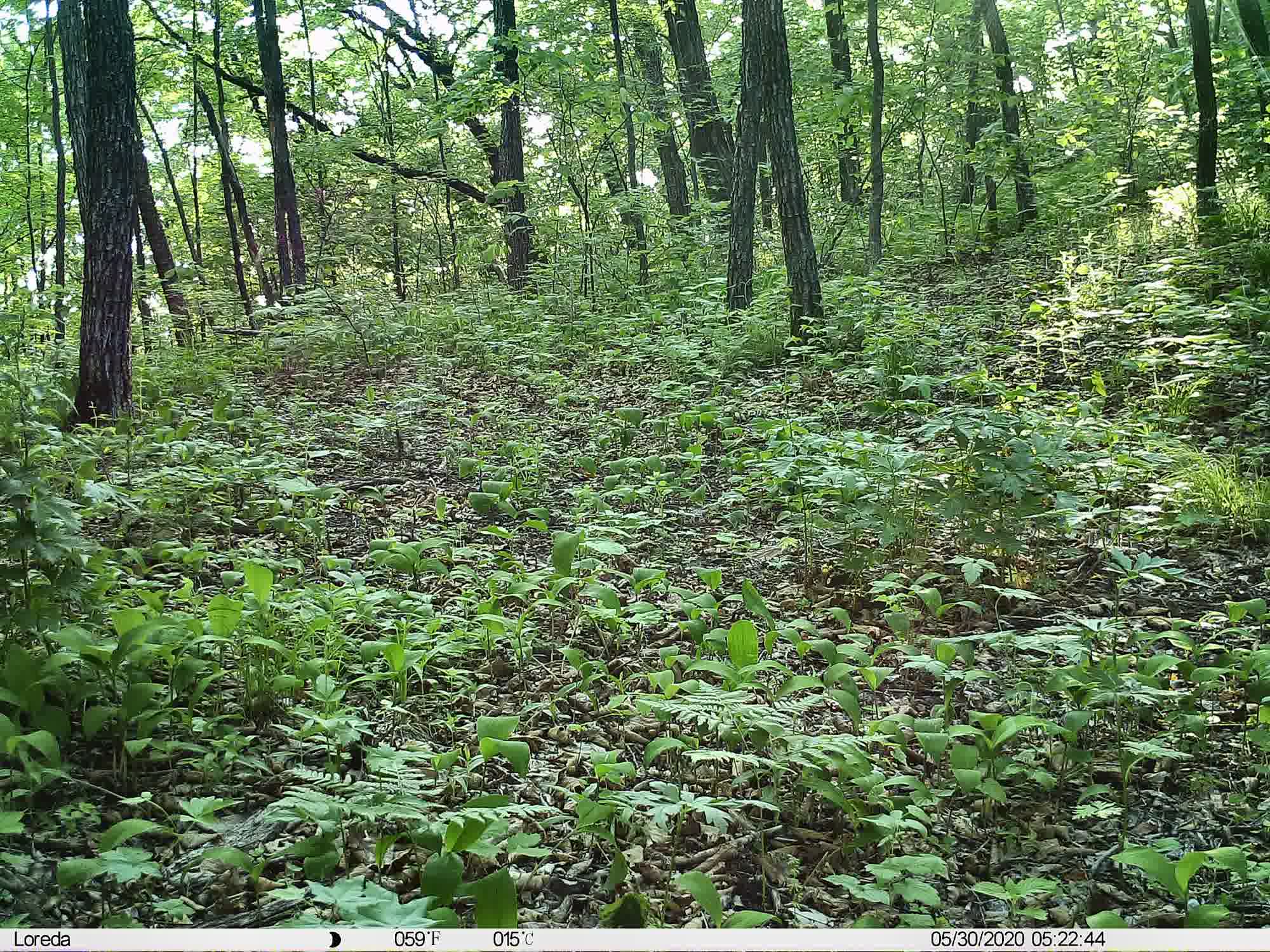 Phenotrap image 11