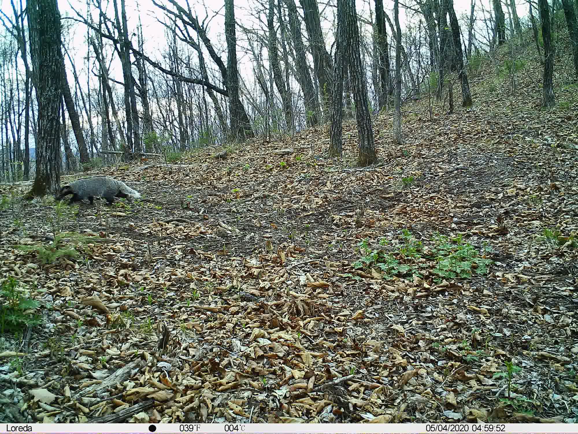 Phenotrap image 4