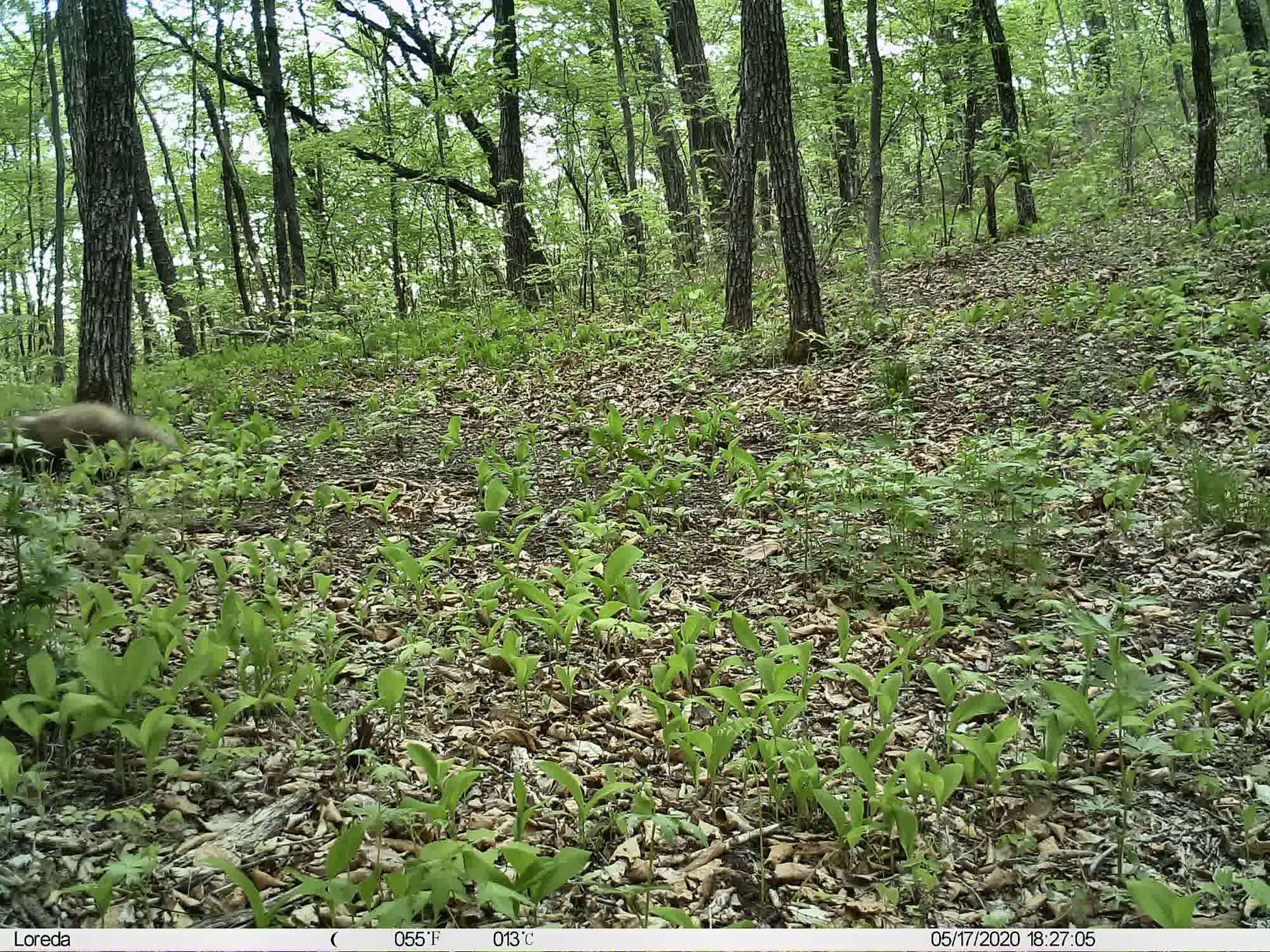 Phenotrap image 8